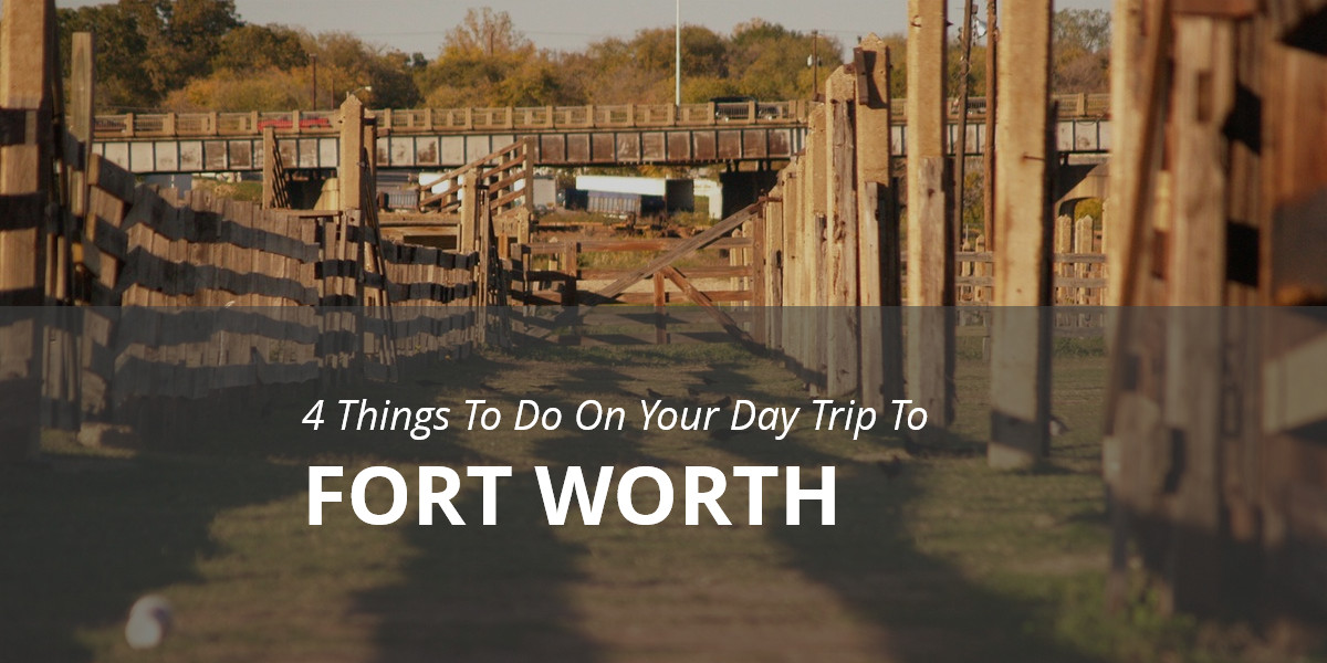 4 Things To Do On Your Day Trip To Fort Worth