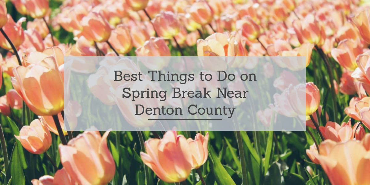 Best Things to do on Spring Break Near Denton County